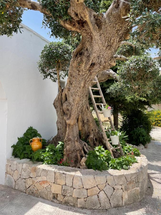 הוילה אלברובלו Il Trullo Di Nonno Licchio מראה חיצוני תמונה