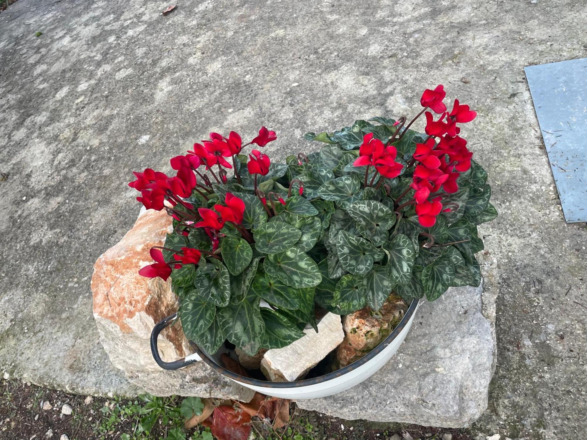 הוילה אלברובלו Il Trullo Di Nonno Licchio מראה חיצוני תמונה