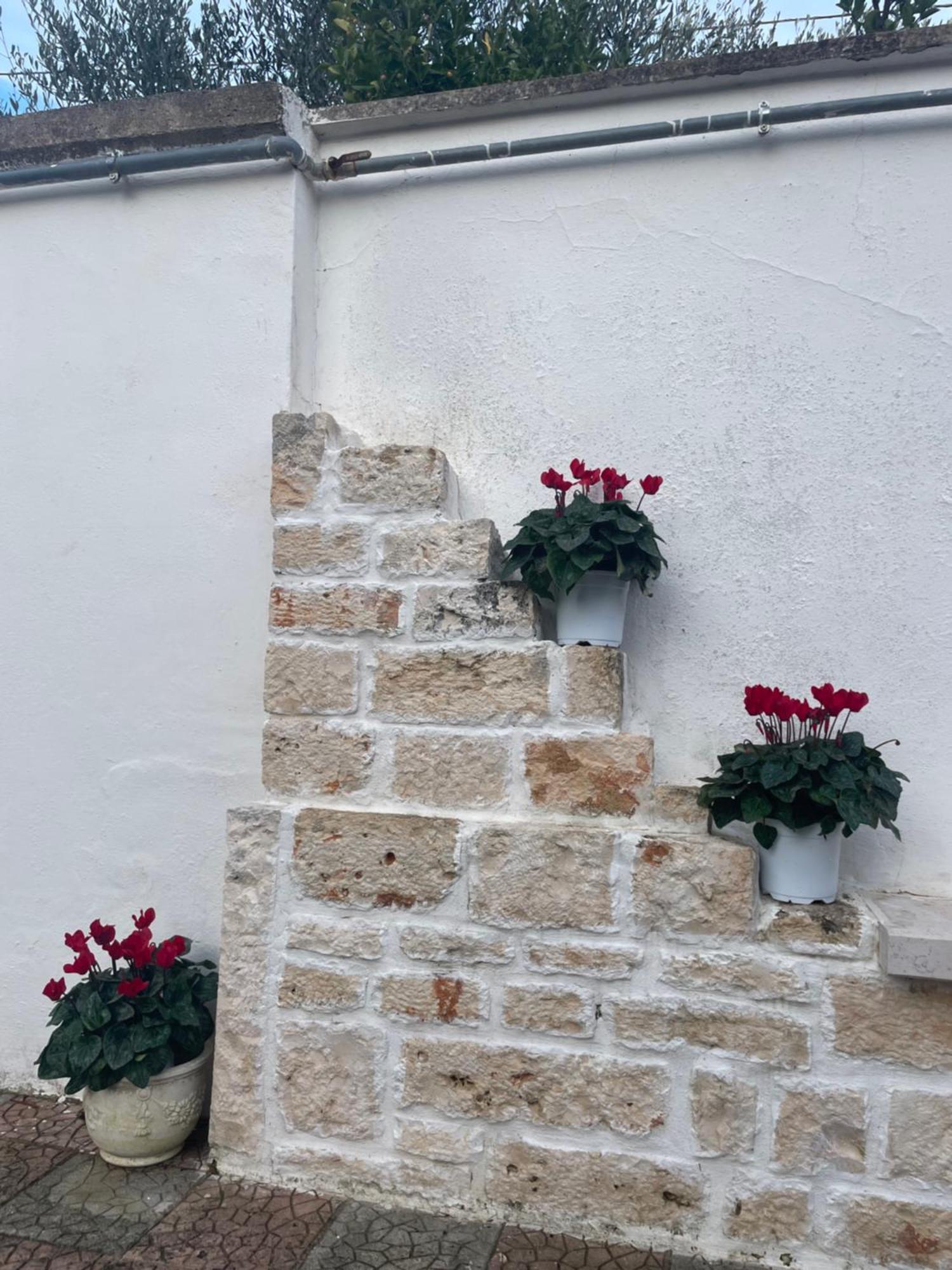 הוילה אלברובלו Il Trullo Di Nonno Licchio מראה חיצוני תמונה